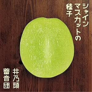 【取寄商品】CD / 井乃頭蓄音団 / シャインマスカットの種子 (紙ジャケット) / INORC-10