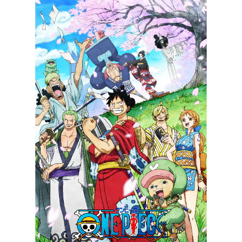 BD / TV 애니메이션 / ONE PIECE 원피스 20TH 시즌 와노 국편 PIECE.44 (Blu-ray) / EYXA-14130