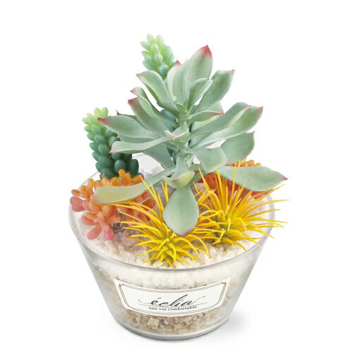 【送料無料】 消臭アーティフィシャルグリーン(L) エクリア 多肉パステルカラー株式会社キシマ