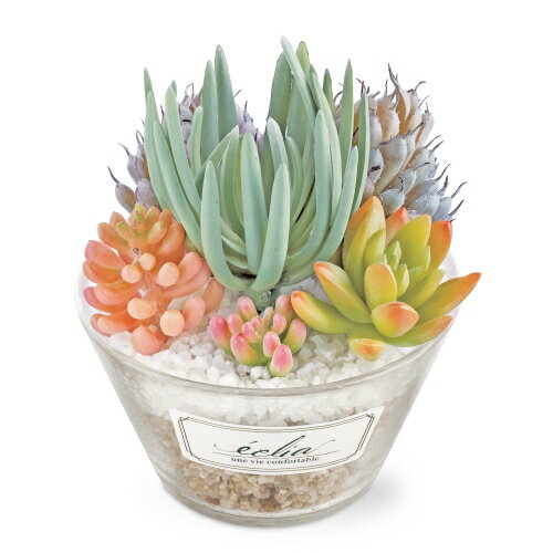 【送料無料】 消臭アーティフィシャルグリーン(L) エクリア 多肉パステルカラー株式会社キシマ