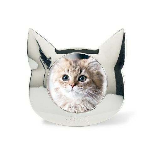 ̵ ƥꥢե졼  Silver Catҥ