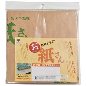 Plain - 【新生活】抗菌効カビ敷物用保護シート お紙さん (6帖用（101cm × 380cm × 3枚）)【取寄商品】【北海道・沖縄送料別】