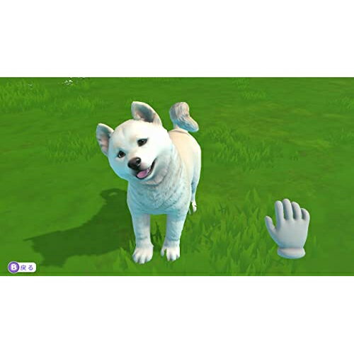 【送料無料】 追跡番号あり・取寄商品 ニンテンドーLITTLE FRIENDS 〜PUPPY ISLAND〜イマジニア