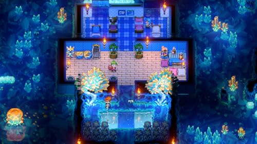 【ブラックフライデー！ポイント10倍★11/27 01:59迄】 新品Switch SNKヒロインズ Tag Team Frenzy