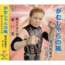 【取寄商品】CD / 堀田祐美子 / がむしゃらの風 / MICD-71