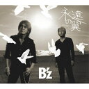 CD / B'z / 永遠の翼 / BMCV-5015