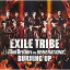 CD / EXILE TRIBE / BURNING UP / RZCD-59422