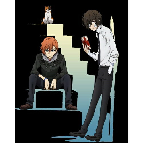 DVD / TV˥ / ʸ륹ȥ쥤ɥå 13 / KABA-10663