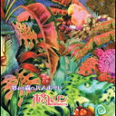 【取寄商品】CD / ポワトリン / 夢みる森のパスポート / UXPT-1