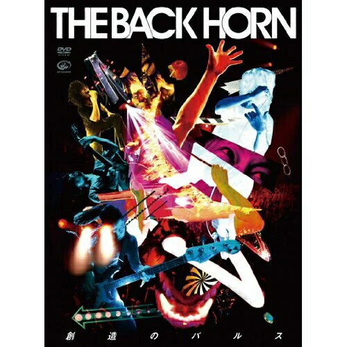 DVD / THE BACK HORN / 創造のパルス (通常版) / VIBL-584