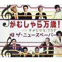 CD / ザ・ニュースペーパー / がむしゃら万歳! C/W ダメなひと/TNP / TECH-13514