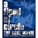 BD / a flood of circle / THE BLUE MOVIE -青く塗れ!- 2016.06.04 Live at 新木場 STUDIO COAST(Blu-ray) (Blu-ray+CD) (10thアニバーサリーパック版) / TEXI-64023