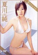 　【新品】アイドルDVD 夏川純/Breeze【10P14jun10】