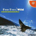 yÁzh[LXg\tg FISH EYES | Wild