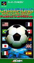 発売日 1994/03/25 メーカー アクレイムジャパン 型番 SHVC-8W JAN 4992713020207 関連商品はこちらから ワールドクラスサッカー　 アクレイムジャパン　