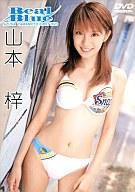 【中古】アイドルDVD 山本梓 / Real Blue【10P24nov10】【画】