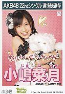 š̿(AKB48SKE48)/ɥ/AKB48 ڷ/CDSEveryday塼㎣ŵ