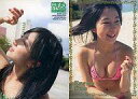 【中古】アイドル(AKB48・SKE48)/小野恵令奈 HIT’S PREMIUM 088 : 小野恵令奈/スペシャル1(箔押しカード)/小野恵令奈 HIT’S PREMIUM