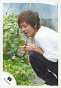 【中古】生写真(ジャニーズ)/アイドル/V6 V6/森田剛/しゃがみ/傘/植物