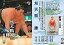 　【b0426】【中古】BBM/BBM 大相撲カード 2012 13 ： 旭天鵬 勝【10P18May12】【画】