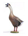 【中古】食玩 トレーディングフィギュア 051 P26-A シナガチョウ ノーマル「チョコエッグ ペット動物コレクション 第2弾」(3)