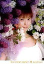 【中古】生写真(ハロプロ)/アイドル/Hello! Project 松浦亜弥/バストアップ・背景白紫の花・衣裳白・飾りピンク・体斜め右向き/公式生写真