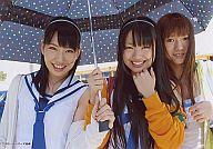 š̿(AKB48SKE48)/ɥ/AKB48 ˥֥ޡŵ(ġ̸)/Everyday塼