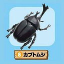 【中古】食玩 トレーディングフィギュア カブトムシ 「ぷちどうぶつシリーズ ドキドキ飼育係」