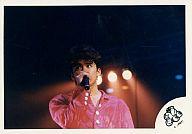 š̿(ˡ)/ɥ/GENJI GENJI/¸/ԥ󥯡Ⱦȡޥ饤֥ե/̿