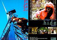 【中古】コレクションカード(男性)/hide official trading card 049 ： hide/hide official trading card