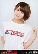 【中古】生写真(AKB48・SKE48)/アイドル/AKB48 山内鈴蘭/上半身/東京ドームコンサート｢AKB48 in TOKYO DOME ～1830mの夢～｣限定生写真セット