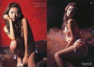 【中古】コレクションカード(女性)/FEMININE 55 ： 安藤沙耶香/レギュラーカード/FEMININE