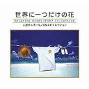【中古】BGM CD α波オルゴール /世界に一つだけの花〜SMAPコ