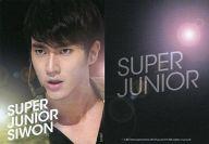 šۥ쥯󥫡()/Super Junior - 쥯󥫡 SJ081  /Shining Card/Super Junior - 쥯󥫡