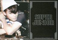 šۥ쥯󥫡()/Super Junior - 쥯󥫡 SJ072  祦/Modern Frame Card/Super Junior - 쥯󥫡