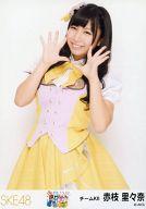 【中古】生写真(AKB48・SKE48)/アイドル/SKE48 赤枝里々奈/膝上/春コン 2013「変わらないこと。ずっと仲間なこと」会場限定