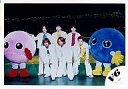 【中古】生写真(ジャニーズ)/アイドル/V6 V6/集合(6人)/横型・全身・センター森田・衣装白・青とピンクのきぐるみ・バレーコート/公式生写真