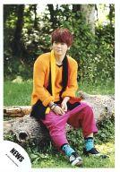 【中古】生写真(ジャニーズ)/アイドル/NEWS NEWS/増田貴久/全身・衣装オレンジ・黄色・赤・黒・樹の上に座り/「テゴマス 3rdライブ テゴマスのまほう」オフショ/公式生写真