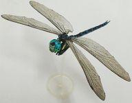 【中古】トレーディングフィギュア オオルリボシヤンマ 「原色図鑑シリーズ 原色日本昆虫図鑑II」