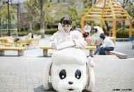 【中古】生写真(AKB48・SKE48)/アイドル/AKB48 前田敦子/CD「君は僕だ」上新電機ディスクピア特典