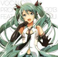 【中古】アニメ系CD VOCALOID Professional 2013 feat.初音ミク