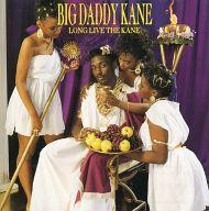 輸入その他CD BIG DADDY KANE / LONG LIVE THE KANE