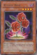 【中古】遊戯王/R/効果モンスター/英語版/The Shining Darkness TSHD-EN016[R]：Revival Rose/リバイバル・ローズ