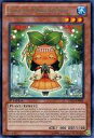 【中古】遊戯王/R/英語版/Legacy Of The Valiant LVAL-EN081 R ：Sylvan Mikorange/-