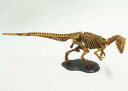 【中古】食玩 トレーディングフィギュア 026 アロサウルス(骨格) 「チョコラザウルス 恐竜・古代生物フィギュアコレクション 第2シリーズ」