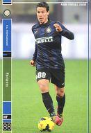 【新品】パニーニ フットボールリーグ/R/MF/F.C.Internazionale/2014 03 PFL07 PFL07 020/154 R ：エルナネス