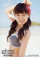 【中古】生写真(AKB48・SKE48)/アイド