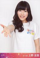 【中古】生写真(AKB48・SKE48)/アイドル/SKE48 上野圭澄/上半身/DVD「春コン 2013 変わらないこと。ずっと仲間なこと」特典