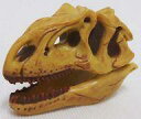 【中古】食玩 トレーディングフィギュア 047 アロサウルス(頭骨) 「チョコラザウルス 恐竜・古代生物フィギュアコレクション 第2シリーズ」