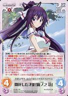 šۥ/RR/Chara//֡ѥå IS㥤ե˥åȡȥȥ IS-001[RR]֤ǽּĥǷ 䶡